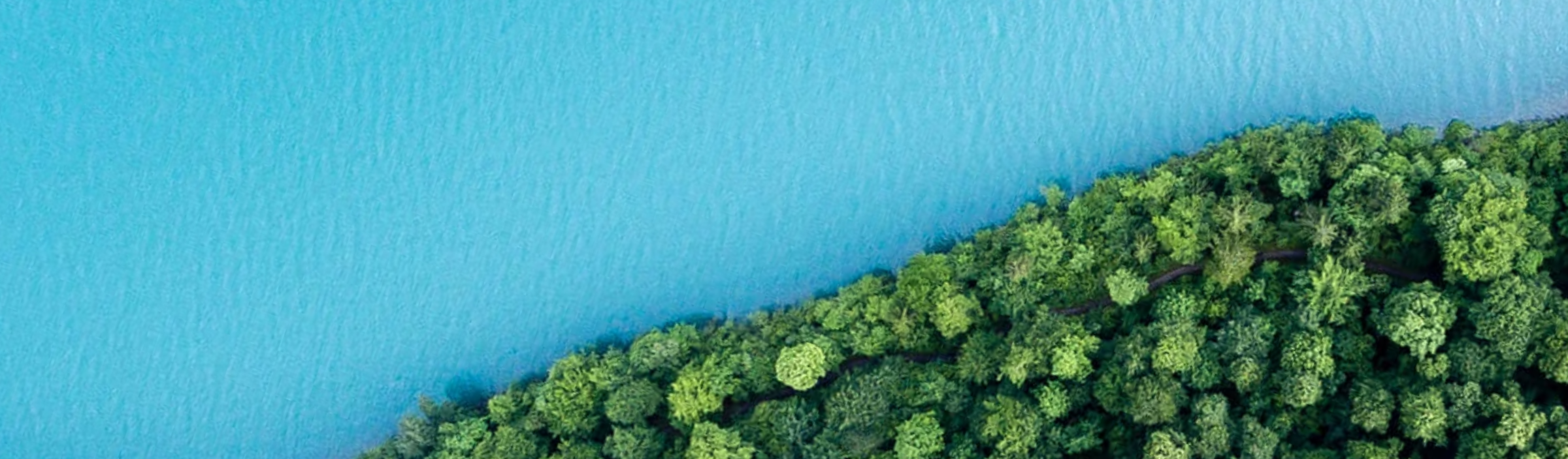 abpic19.jpg abpic19.jpg